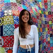 Profesor de magisterio imparte clases de primaria de cualquier materia. Ayudando en deberes, dudas... adaptando a los necesidades de los niños